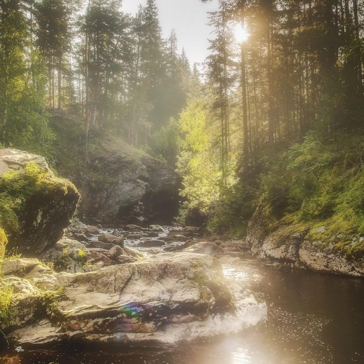 Overview of protected areas